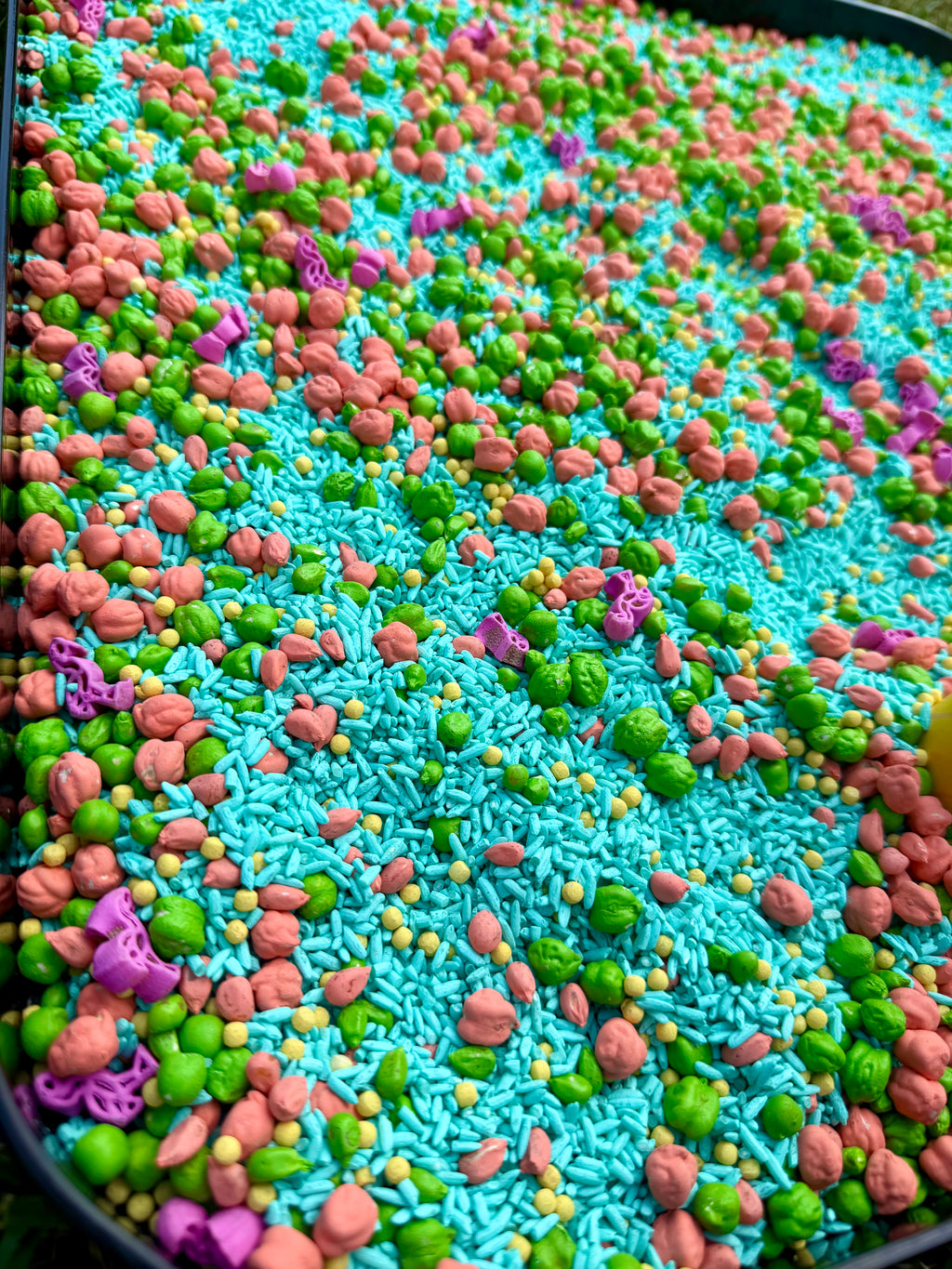 Tropical Splash