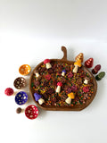 Harvest Hollow Sensory Mix